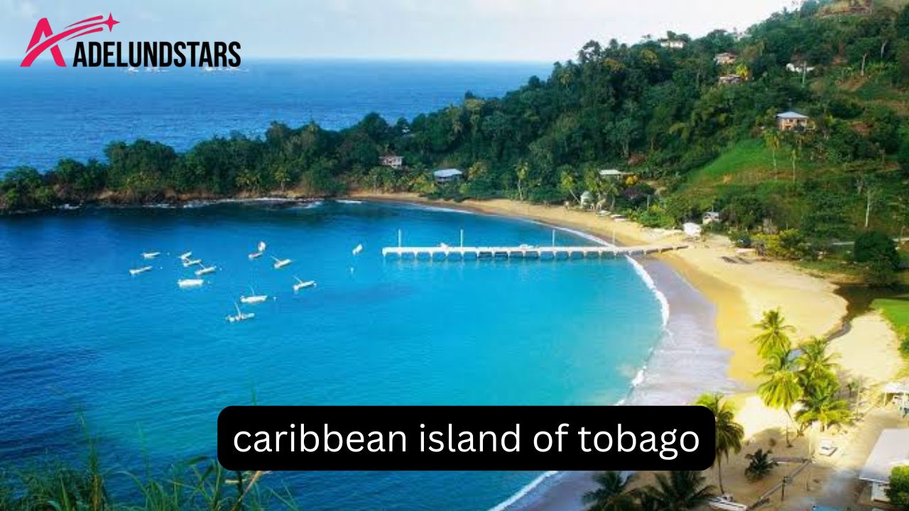 Caribbean Island of Tobago: Natur, Strände und Tipps